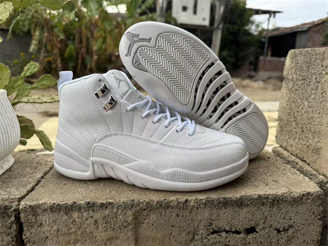 Men's Running weapon Air Jordan 12 0102